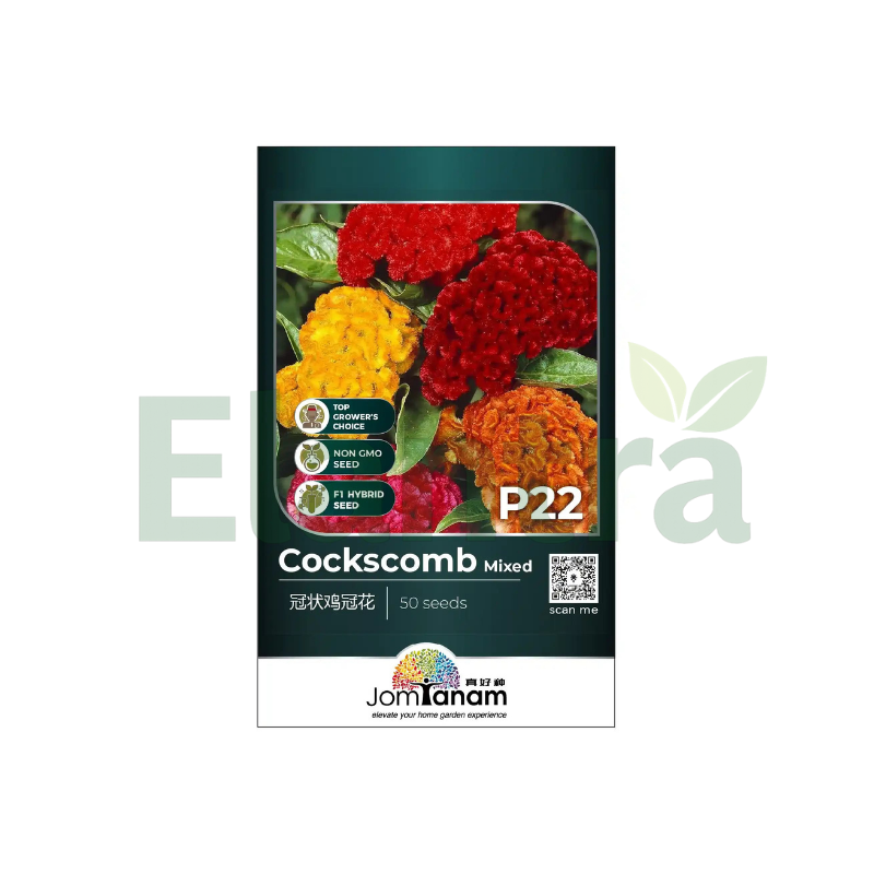 P22 COCKSCOMB